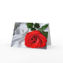 Red Rose for You cards by GreetingsCards Red Rose for You cards