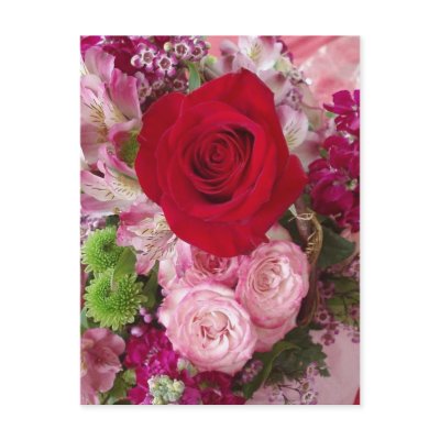 Red Rose Framed With Assorted Flowers and Roses Post Card