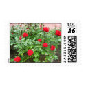 Red Rose Garden postage