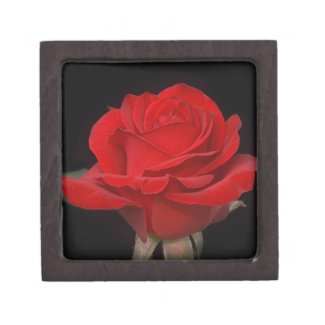 Red Rose Gift Box planetjillgiftbox