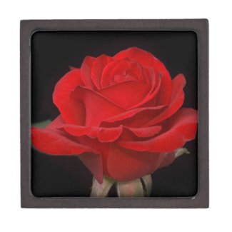 Red Rose Gift Box Premium Jewelry Box