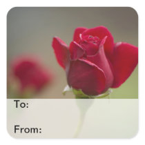 Red Rose Gift Tags Square Sticker