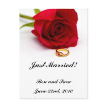 Red Rose & Gold Diamond Ring Postcards