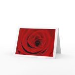 Red Rose Greeting Card