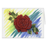 Red Rose Greeting Card cards