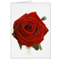 Red Rose cards