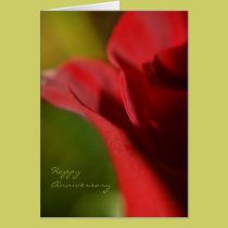 "Red Rose" Happy Anniversay Greeting Card cards