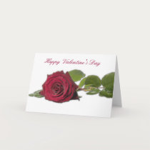 Red Rose - Happy Valentine's Day Card by naturespaintbox Red Rose - Happy Valentine's Day Card