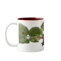 Red Rose - Happy Valentine's Day Mug mugs