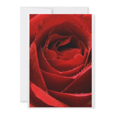 Red Rose Personalized Invites