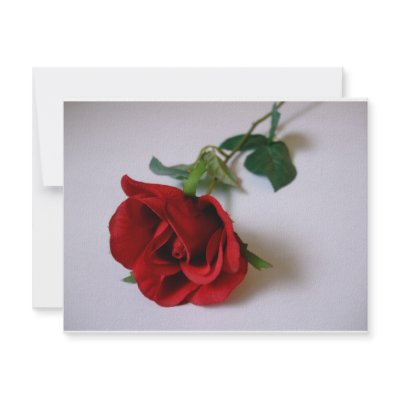 Red Rose Invitation