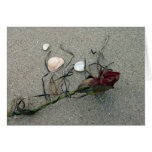 Red Rose: Lost at Sea Card