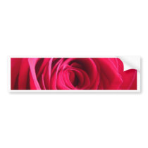 Red Rose * Love bumper stickers by bluehawaii218 Red Rose * Love bumper stickers