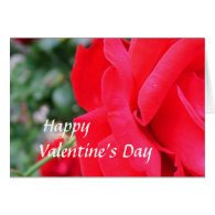 Red rose, love, valentine's day cards