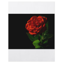 red-rose-macro-still-image-studio-photo custom flyer