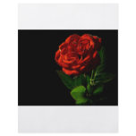 red-rose-macro-still-image-studio-photo flyers
