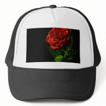 Red Rose Macro Still Image Studio Photo hats