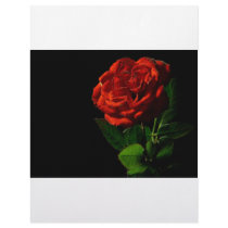 red-rose-macro-still-image-studio-photo letterhead