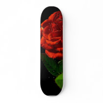 Red Rose Macro Still Image Studio Photo skateboards