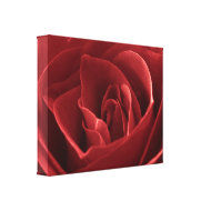 Red Rose Macro Wall Art wrappedcanvas