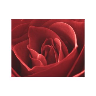 Red Rose Macro Wall Art