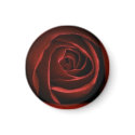 Red Rose Magnet by ggbythebay Red Rose Magnet