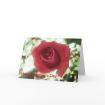 Red Rose Mother's Day Card