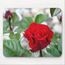 Red Rose Mousepad