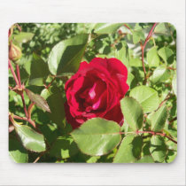 Red Rose Mousepad