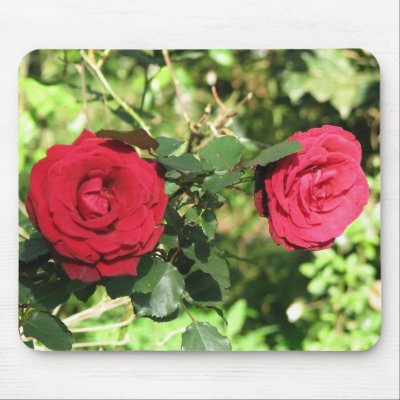 Red Rose Mousepad by naturegirl7