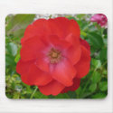 Red Rose Mousepad by RoseGallery Red Rose Mousepad