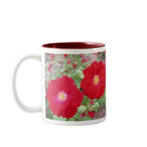 Red Rose Mug by bkang22 Red Rose Mug