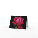 Red Rose note card by Lesleysloft Red Rose note card
