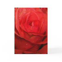Red Rose Note Cards by Dmargie1029 Red Rose Note Cards