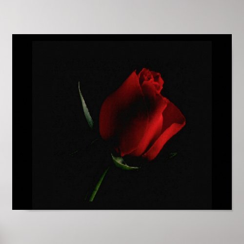 Red Rose on Black-add words if you choose print