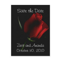 Red Rose on Black- invitation Postcards