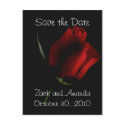 Red Rose on Black- invitation postcards by MakaraPhotos Red Rose on Black- invitation postcards