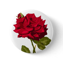 red rose on white buttons