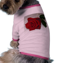 Red Rose On White pet clothing