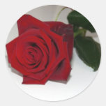 Red Rose On White Round Sticker