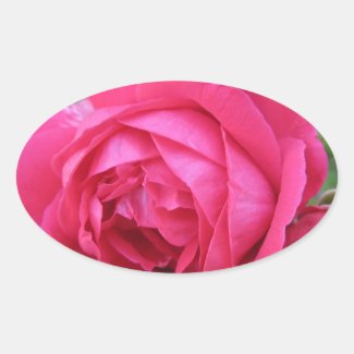 Red Rose Oval Sticker