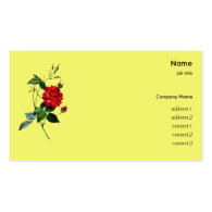 Red rose, P.J. Redoute, rosa inermis Business Card