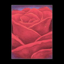Red Rose Painting Close Up - Multi postcards