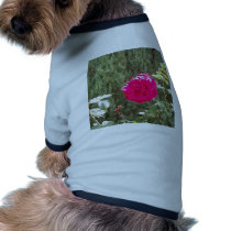 Red Rose Pet Sweater pet clothing