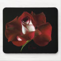 Red Rose Petals mousepads