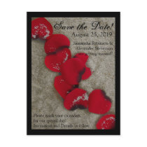 Red Rose Petals on Sand Beach Wedding Postcards