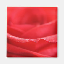 Red Rose Petals Refrigerator Magnet