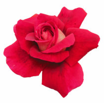 Red Rose Photo Sculpture