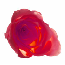 Red Rose photo sculptures