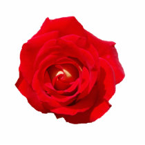 Red Rose Photo Cut Outs